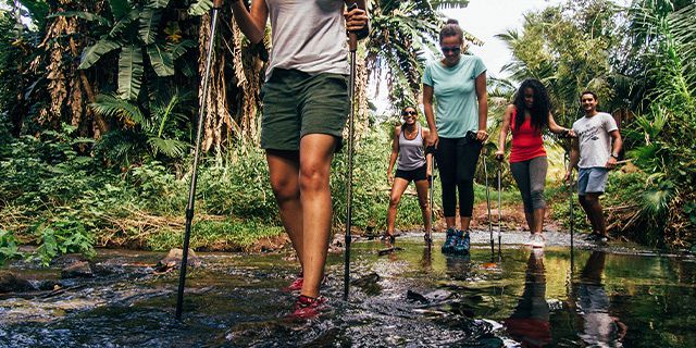 Bel ombre wilderness tour (6)